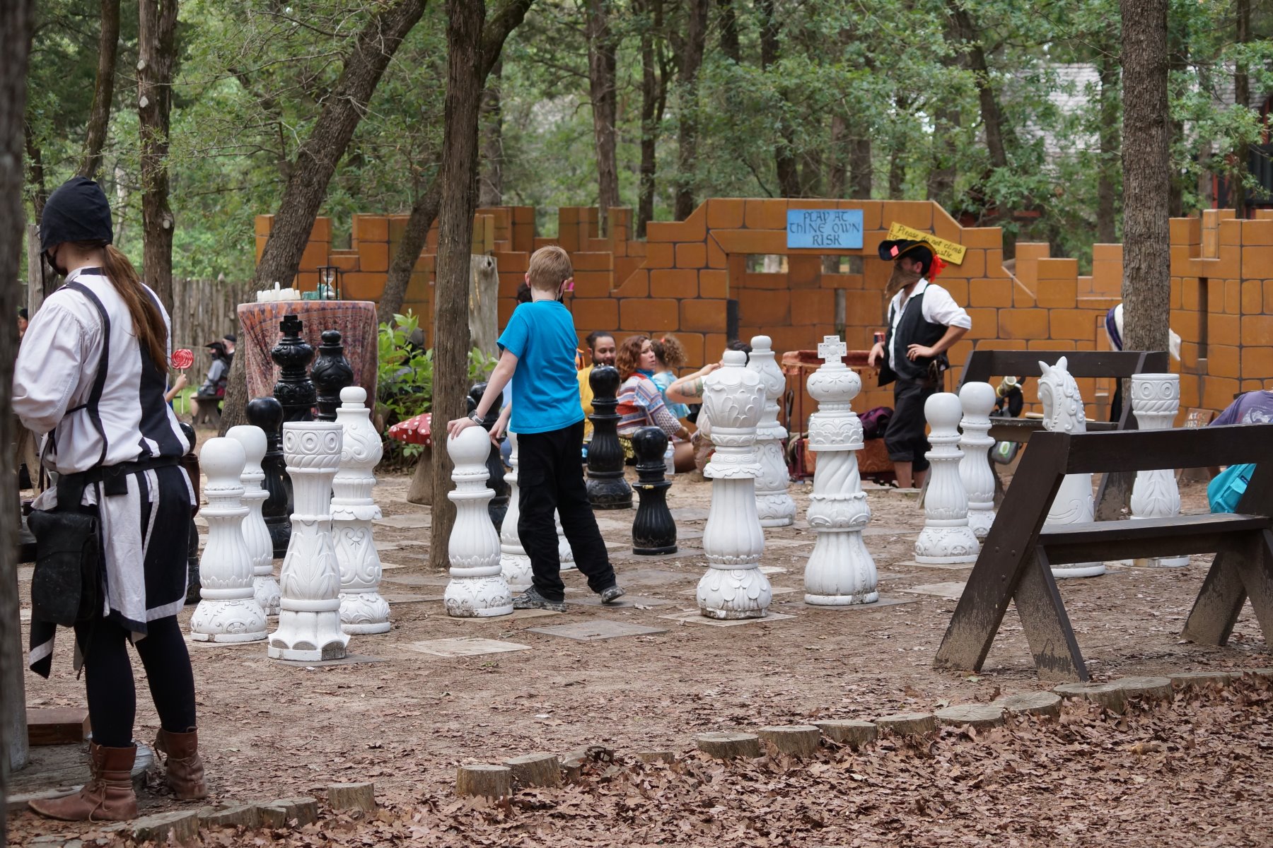 Playing chess