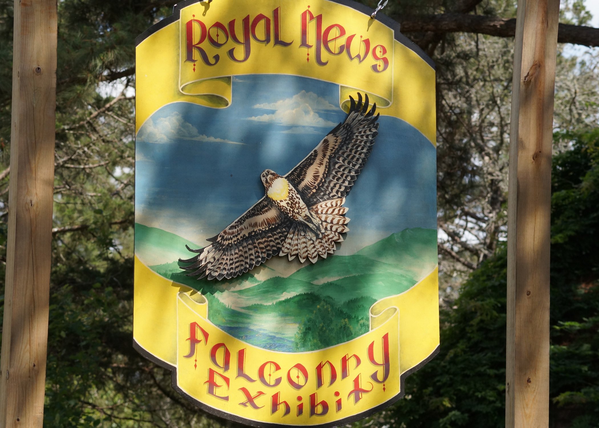 Falconry exhibit sign