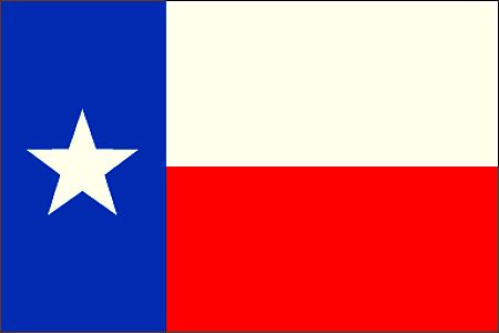 Texas Flag